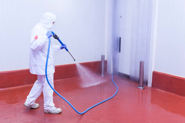 Best Solar Panel Cleaning  in Bryan, TX
